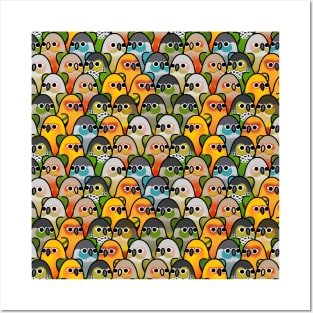 Too Many Birds!™ Conure Squad Posters and Art